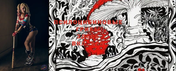 винт Гусиноозёрск