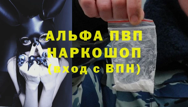 винт Гусиноозёрск